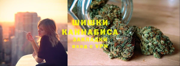 мдпв Горнозаводск