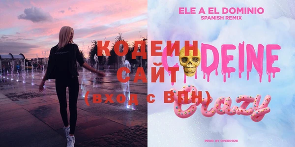 мдпв Горнозаводск